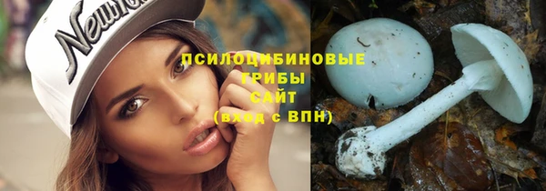 ECSTASY Абаза
