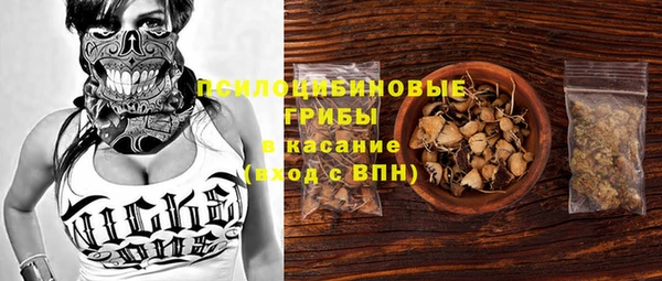 ECSTASY Абаза