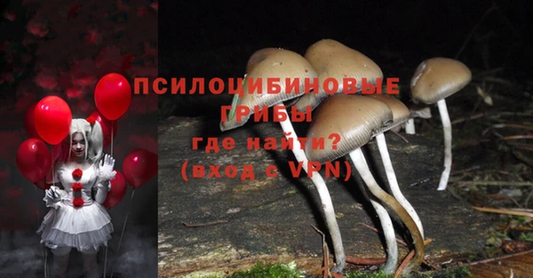 ECSTASY Абаза