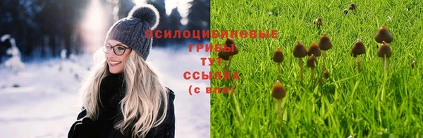 ECSTASY Абаза